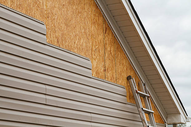 Professional Siding technician working in Park Ridge, IL